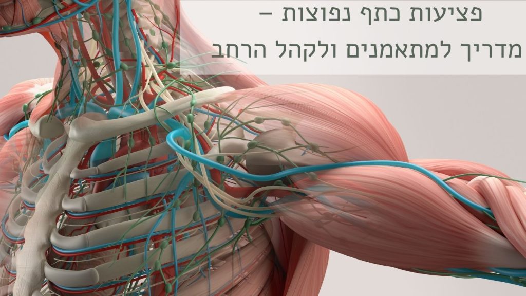 פציעות כתף נפוצות