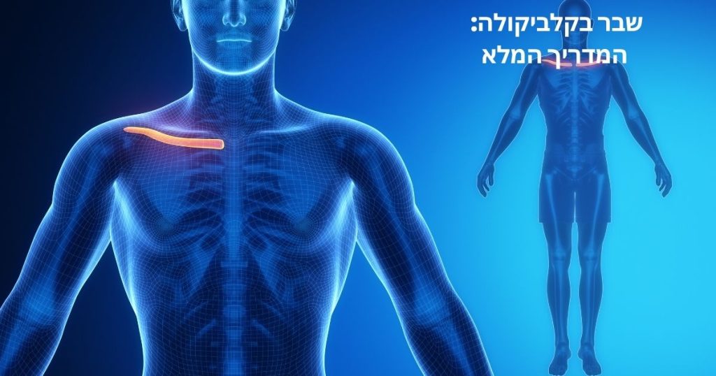 שבר קלביקולה